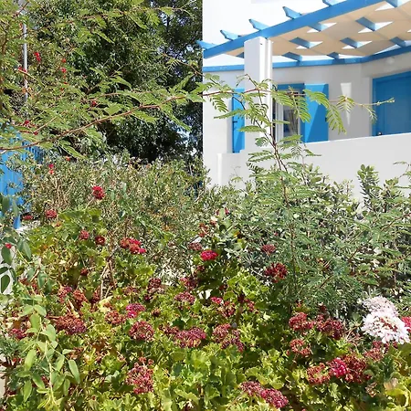 Apartment Livanios Adamantas (Milos)