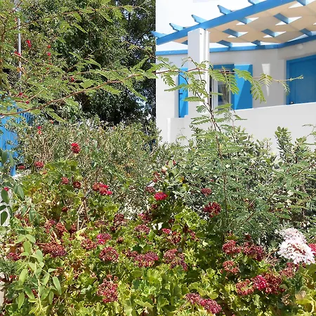 Daire Livanios Adamantas (Milos)